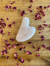 Load image into Gallery viewer, GUA SHA + BOTANICAL ELIXIR DUO